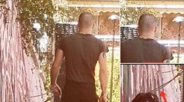 Βύρωνας: Βάζει πιτ μπουλ να σκοτώνει γάτες και  τις πετάει στα σκουπίδια – Μαρτυρίες σοκ (video)