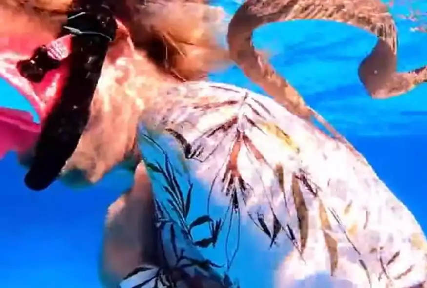 Αυστραλία: Συγκλονιστικό βίντεο με δηλητηριώδες θαλάσσιο φίδι να έχει τυλίξει γυναίκα