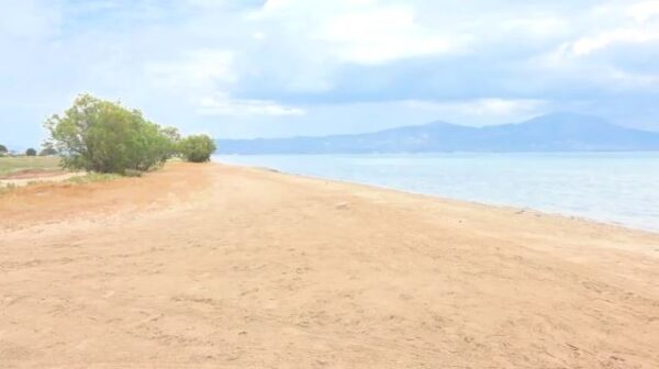 «Έτσι γλύτωσα τον βιασμό» – Σοκάρει η περιγραφή 69χρονης από τον Ωρωπό