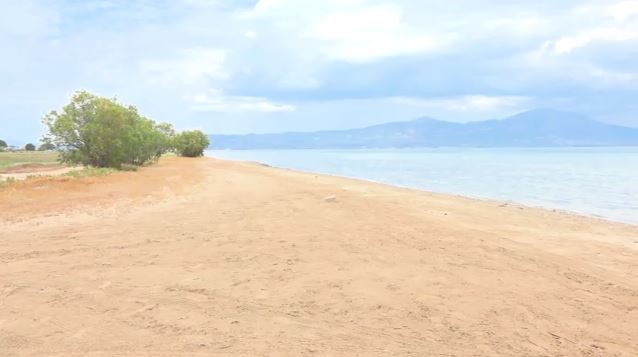 «Έτσι γλύτωσα τον βιασμό» – Σοκάρει η περιγραφή 69χρονης από τον Ωρωπό