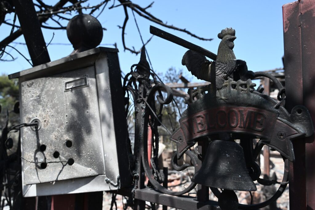 Φωτιά στη Μεσσηνία: «Με εξιτάρει να βλέπω τα εναέρια μέσα και να ακούω τις σειρήνες», είπε ο 30χρονος εμπρηστής