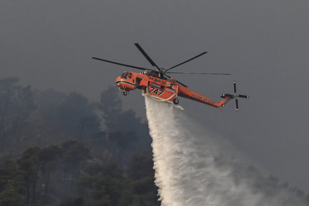 Στις φλόγες η Εύβοια: Φωτιά σε δασική έκταση στο Κοντοδεσπότι – Υπό έλεγχο η φωτιά στη Ριτσώνα