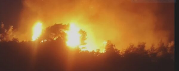 Μεγάλο μέτωπο φωτιάς στα Δερβινοχώρια – Αγωνία για την Πάρνηθα – Ολονύχτια μάχη με τις φλόγες (εικόνες&video)