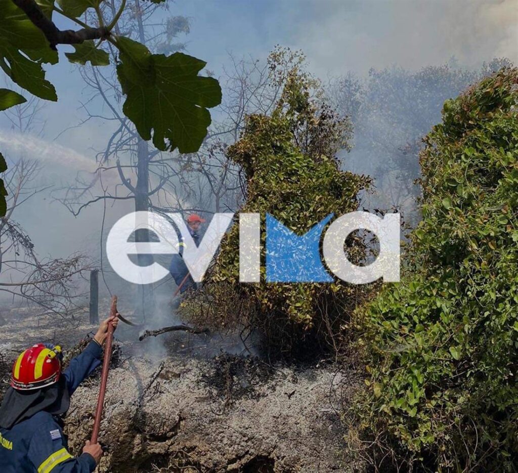 Εύβοια: Νέα φωτιά στην Κύμη  στο χωριό Βίταλο