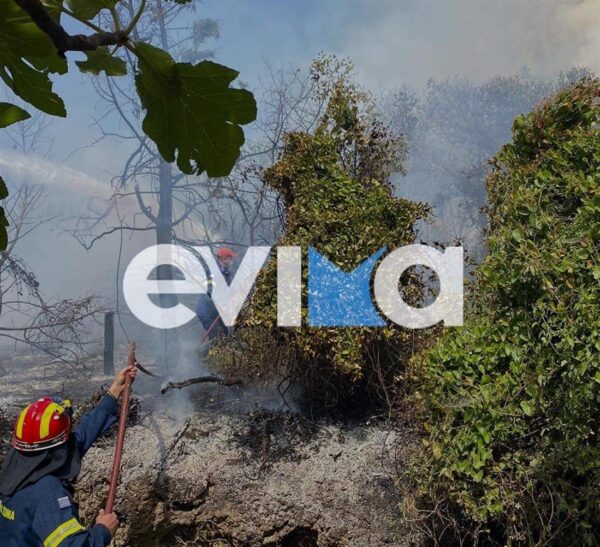 Εύβοια: Νέα φωτιά στην Κύμη  στο χωριό Βίταλο