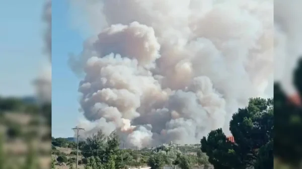 Πυρκαγιά σε δασική έκταση στα Δερβενοχώρια – Μήνυμα από το 112 (εικόνες&video)