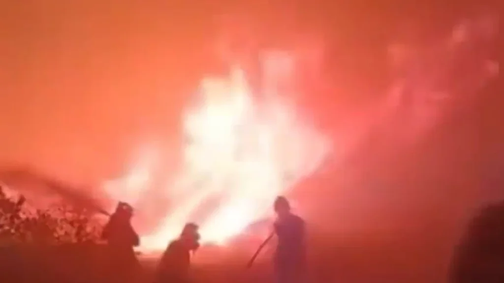 Φωτιά στη Ρόδο: «Φύγε, δεν κόβεται!» Οι συγκλονιστικοί διάλογοι των πυροσβεστών στη μάχη με τις φλόγες (video)