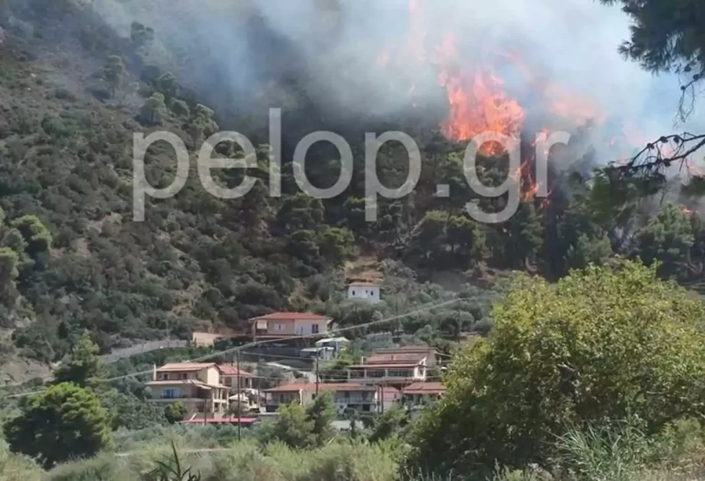 Μεγάλη φωτιά στο Αίγιο: Δασική πυρκαγιά μαίνεται κοντά στον οικισμό Δερβενάκια (video)