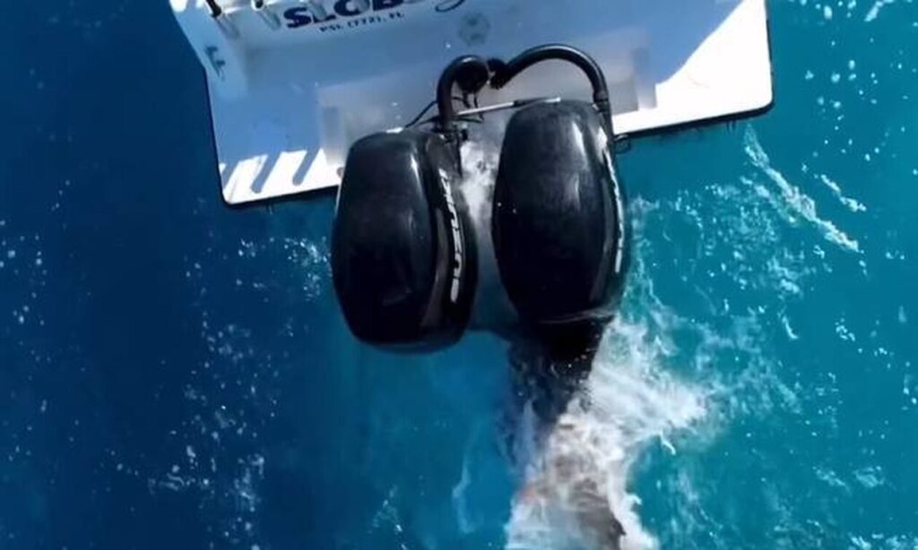 Σοκαριστικό βίντεο: Καρχαρίας εμβολίζει με μανία αλιευτικό σκάφος στη Φλόριντα