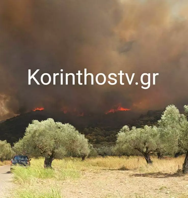 Φωτιά στη Λακωνία: Μεγάλη αναζωπύρωση στο Πυρί (video)