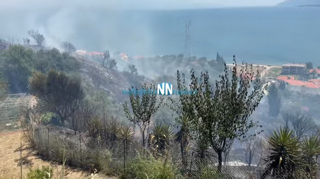 Ναύπακτος: Οριοθετήθηκε η φωτιά στην περιοχή Πλατανίτης (video)