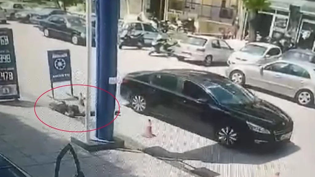 Θεσσαλονίκη: Βίντεο – σοκ από τη στιγμή που 50χρονος δολοφονείται μετά από καβγά με φίλο του