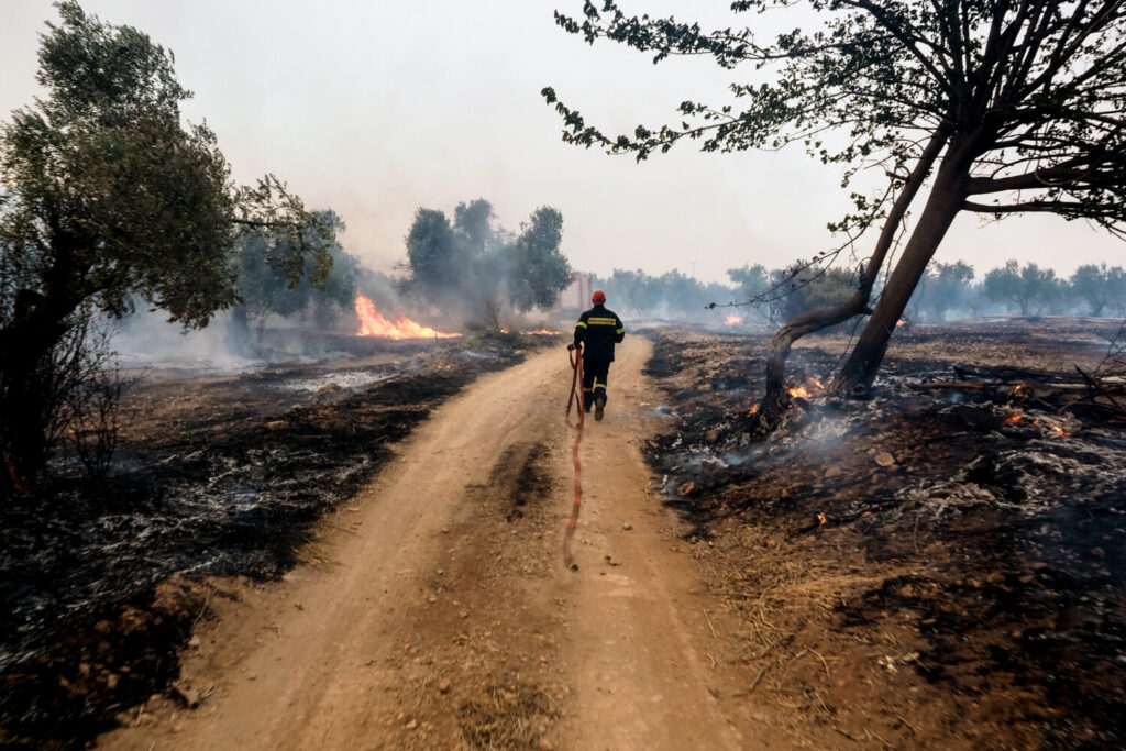Φωτιά στον Έβρο: Δύσκολη η κατάσταση – Μήνυμα του 112 για απομάκρυνση από την περιοχή της Αύρας προς Κομοτηνή