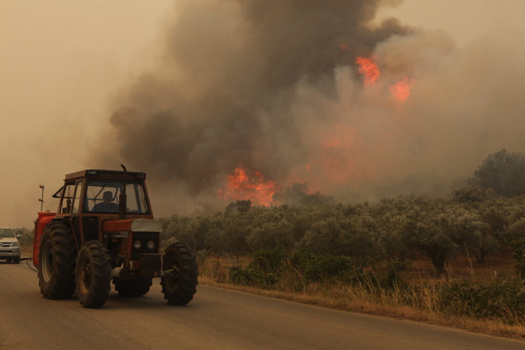 Κόλαση φωτιάς στον Έβρο: Οι φλόγες πλησιάζουν την  Λευκίμμη – Τα μηνύματα για εκκενώσεις – Σε απελπισία οι κάτοικοι (video)