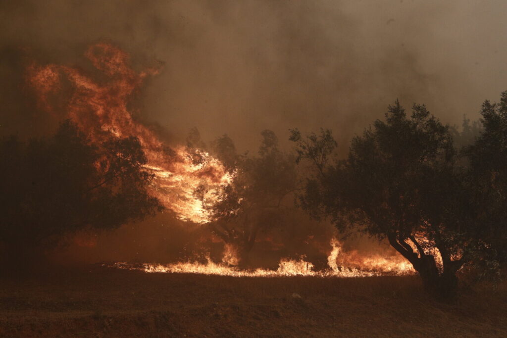 Φωτιά στον Έβρο: Βρέθηκαν 18 απανθρακωμένοι  μετανάστες στο δάσος της Δαδιάς  (video)