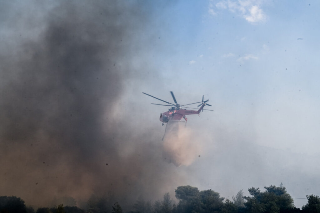 Μία σύλληψη για εμπρησμό στη Χαλκίδα – Ελεύθεροι οι άλλοι 3 που είχαν προσαχθεί ως ύποπτοι για τις φωτιές σε  Αυλώνα και Μενίδι (video)