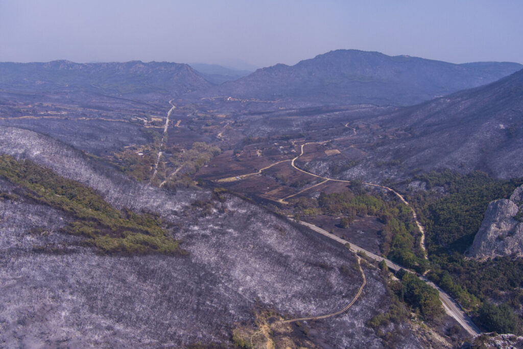 Εξάμηνη αναστολή πλειστηριασμών και κατασχέσεων για τους πυρόπληκτους