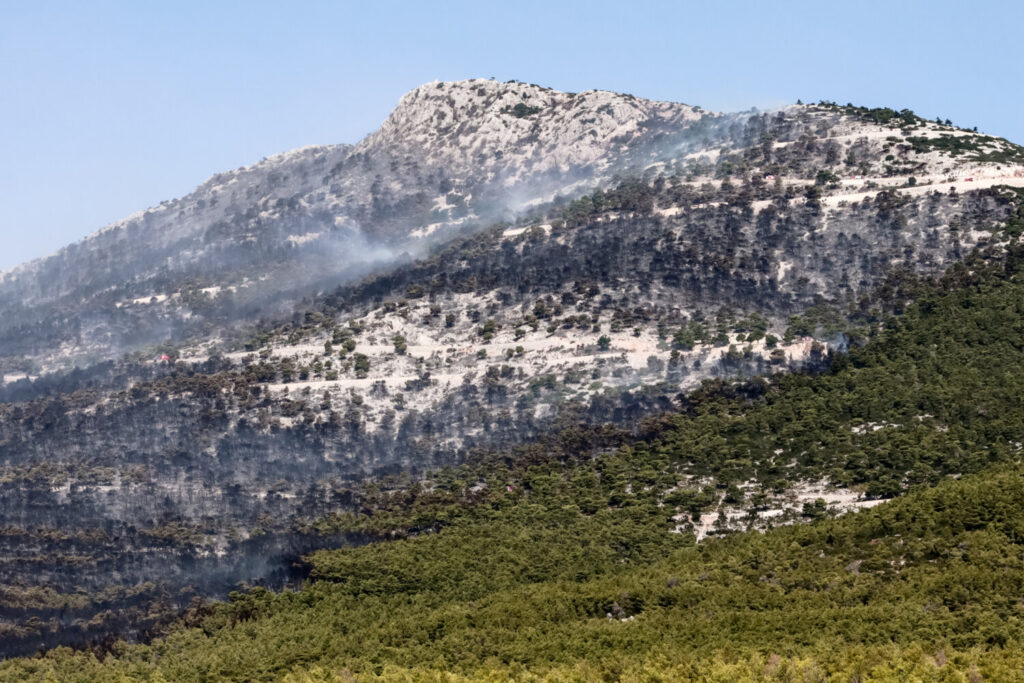 Φωτιά στον Αυλώνα: Δίωξη σε βαθμό κακουργήματος για εμπρησμό σε βάρος του 45χρονου – Αρνείται – Επικαλείται ψυχιατρικό πρόβλημα