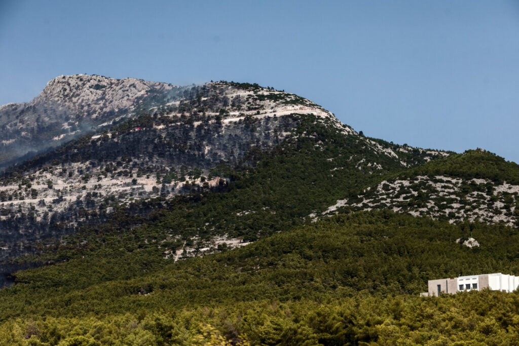 Φωτιά στην Πάρνηθα: Τέσσερις προσαγωγές υπόπτων για εμπρησμούς σε Αυλώνα και Μενίδι – Είχαν αναπτήρες,  εύφλεκτο σπρέϊ, σπινθηριστή και κιάλια