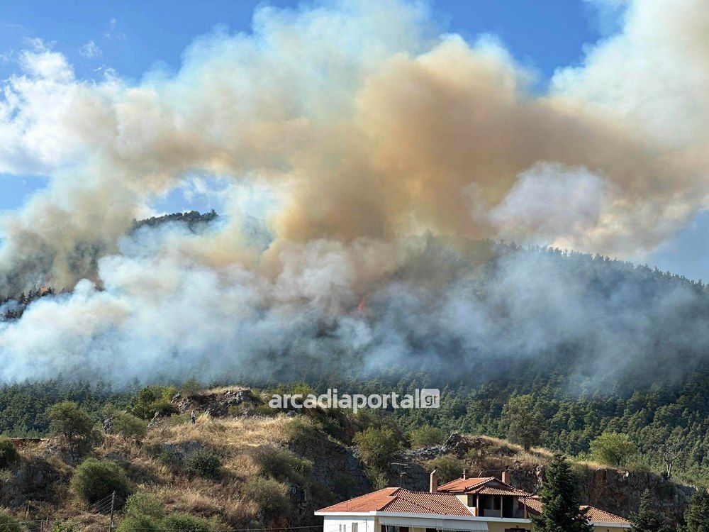 Φωτιά στην Τρίπολη: Καίγεται το δάσος πάνω από την πόλη – Ανησυχία για το Μαίναλο (εικόνες&βιντεο)