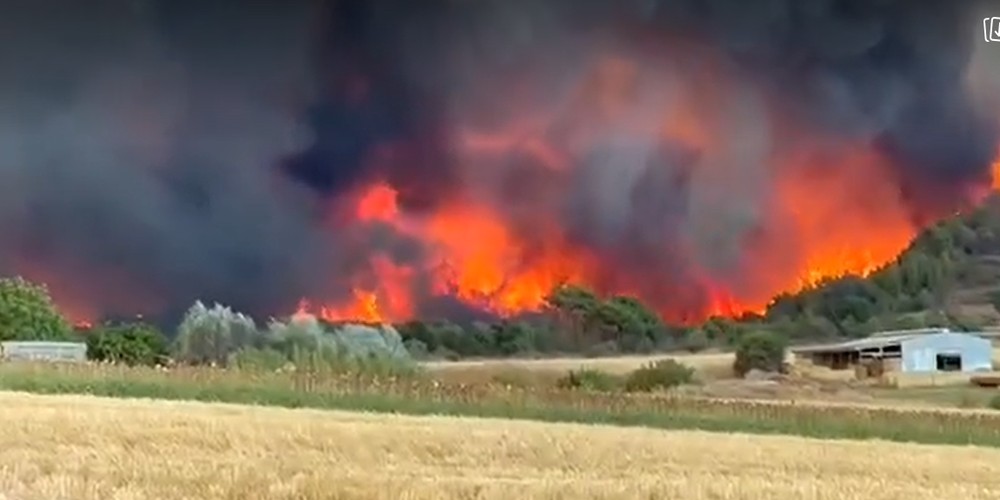 Φωτιά στην Αλεξανδρούπολη: Καίει ανεξέλεγκτα – Νέο μήνυμα του 112 για εκκένωση άλλων 4 περιοχών (video)