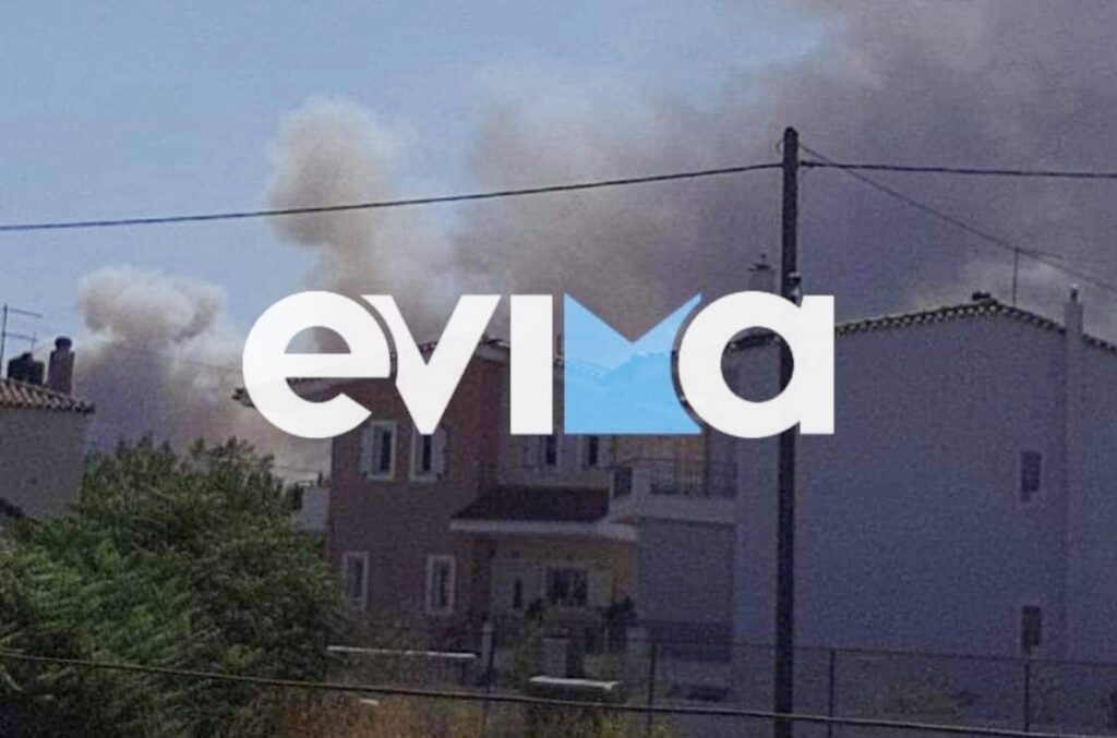 Μεγάλη φωτιά και στην Εύβοια: Οι φλόγες απειλούν τα πρώτα σπίτια στα Ψαχνά – Μήνυμα του 112 – Δείτε βίντεο