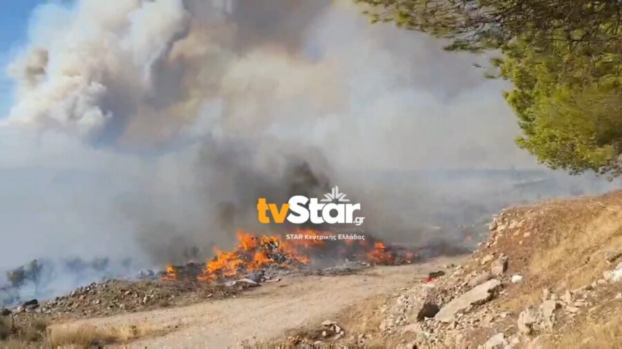 Μεγάλη φωτιά στον Πρόδρομο Βοιωτίας – Νεκρός ένας βοσκός – Μηνύματα από το 112, να απομακρυνθούν και από την παραλία Σαράντη (video)