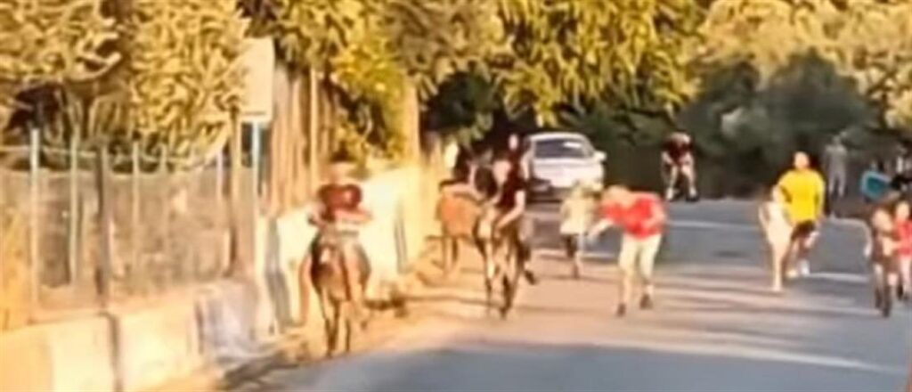 Λέσβος: Σάλος από «γαϊδουροδρομίες»  με παιδιά να μαστιγώνουν ανελέητα τα γαϊδουράκια (video)