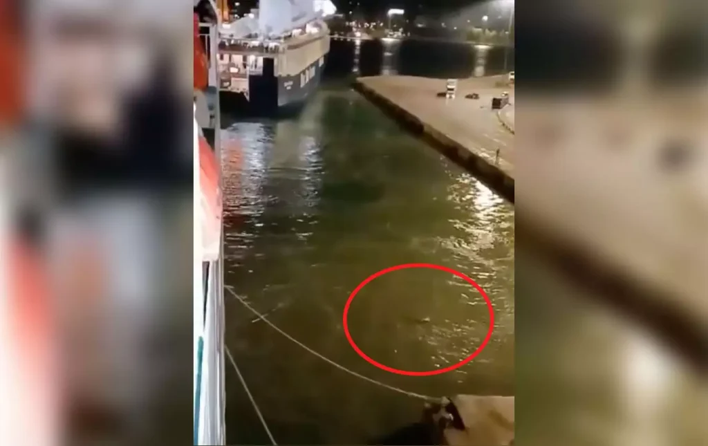 Blue Horizon: Νέο σοκαριστικό βίντεο με το πλοίο να φεύγει εγκαταλείποντας στη θάλασσα τον 36χρονο – Σώστε τον φώναζε  ο κόσμος