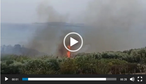 Αρτοποιός για φωτιά στην Κέρκυρα: Ενισχύονται οι πυροσβεστικές δυνάμεις – Βίντεο