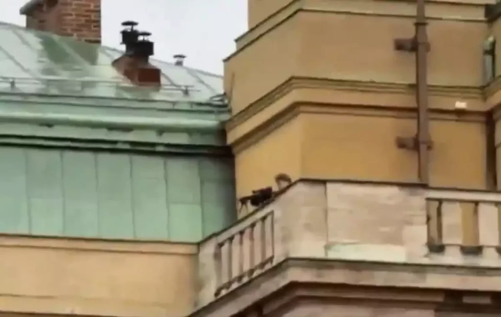 Πράγα: To βίντεο από την κάμερα σώματος αστυνομικών που καταδιώκουν τον 24χρονο ένοπλο μέσα στο πανεπιστήμιο