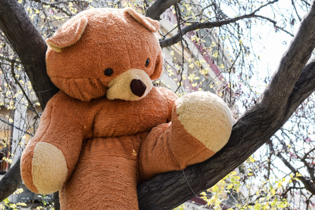 Θεσσαλονίκη: Έβαλε κοριό σε λούτρινο αρκουδάκι για να παρακολουθεί τον πρώην σύζυγό της