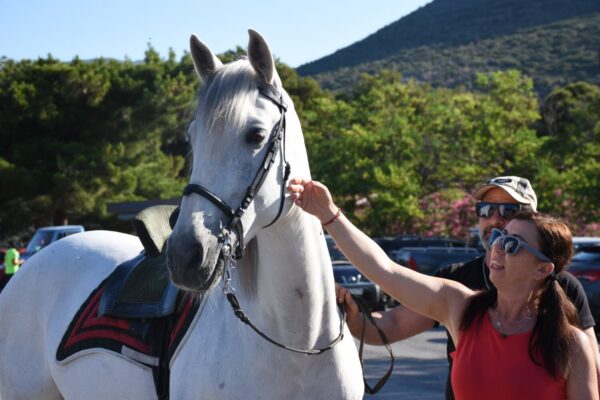 Σοκ στη Λέσβο: 20χρονος δίνει μάχη για τη ζωή του μετά από χτύπημα στο κεφάλι από άλογο σε πανηγύρι