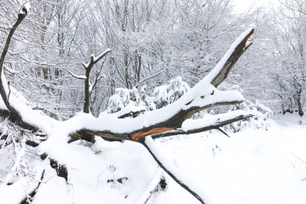 Σε πλήρη εξέλιξη η κακοκαιρία: Χιονίζει στην Εύβοια – Σε επιφυλακή στην Κρήτη – Βίντεο
