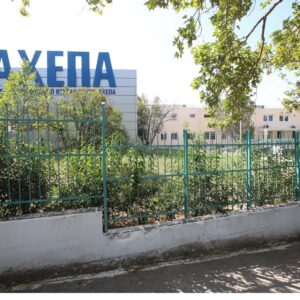 Με οξεία ηπατική ανεπάρκεια νοσηλεύεται στο ΑΧΕΠΑ ζευγάρι που έφαγε μανιτάρια – Αγώνας για να βρεθούν μοσχεύματα