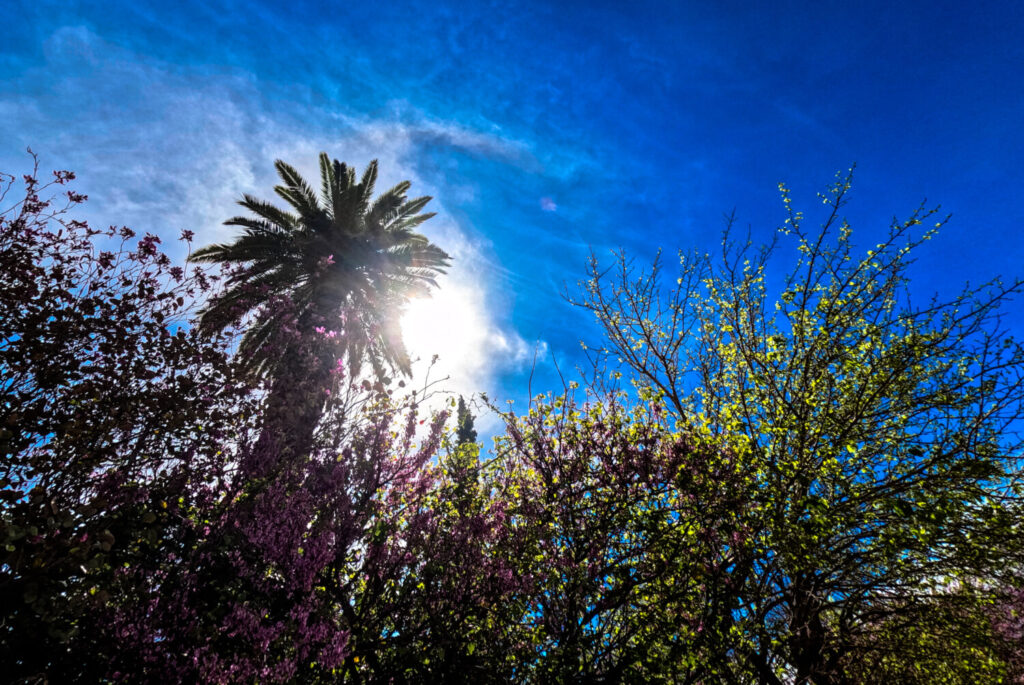 Meteo – Καιρός: Πού έδειξε 30°C το θερμόμετρο – Οι 8 περιοχές με τις υψηλότερες θερμοκρασίες