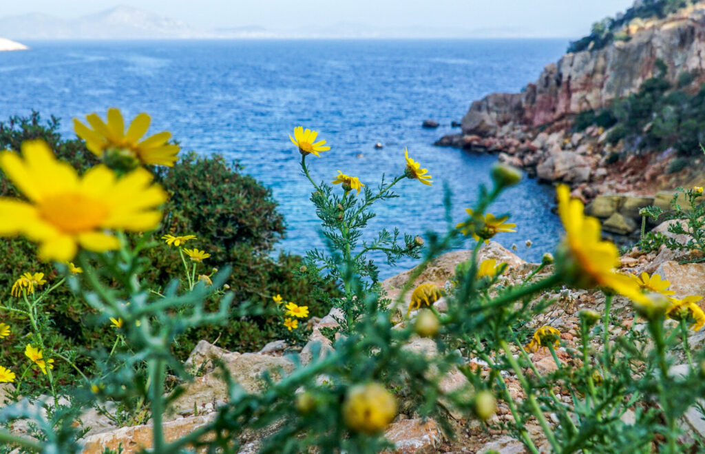 Καιρός: Θερμή εισβολή το Σαββατοκύριακο – Οι 8 περιοχές με θερμοκρασίες 30-31 βαθμούς Κελσίου