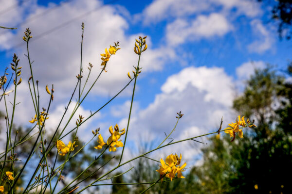 Καιρός: Με ηλιόλουστο καιρό θα ψήσουμε το αρνί – Που «χτύπησε» 28αρια – Οι πιο ζεστές περιοχές