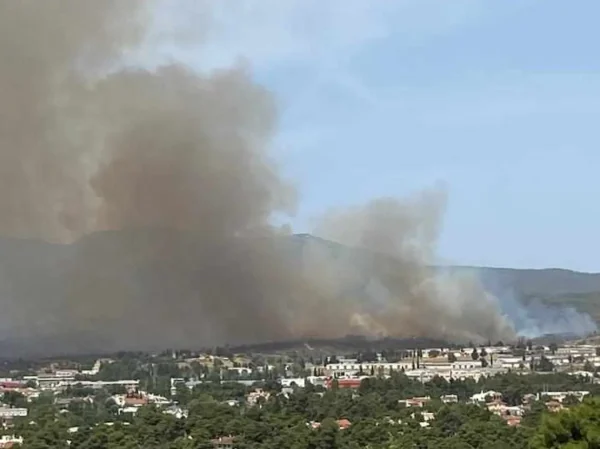 Αφίδνες: Χωρίς ενεργό μέτωπο η μεγάλη φωτιά σε δασική περιοχή