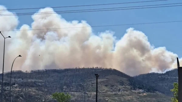 Συναγερμός για φωτιά στην Πάρνηθα – Πνέουν ισχυροί άνεμοι – Μεγάλη κινητοποίηση της Πυροσβεστικής – Επιχειρούν ελικόπτερα και αεροπλάνα (βίντεο))