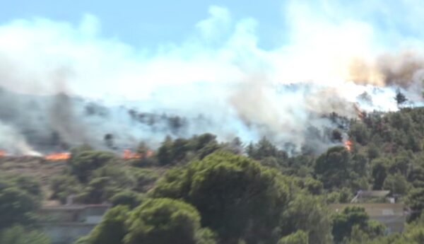 Φωτιά στην Σταμάτα: Νεκρός 45χρονος από ανακοπή – Μάχη με τις φλόγες – Εκκενώθηκαν Αμυγδαλέζα, Γαλήνη και Ροδόπολη (βίντεο)