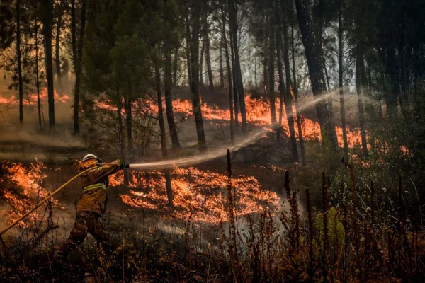 «H δυσκολότερη ημέρα της φετινής αντιπυρικής περιόδου»: Σε πύρινο κλοιό η χώρα – Μεγάλες εστίες σε Σταμάτα– Αναζωπυρώσεις στην Κερατέα (βίντεο)