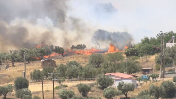 Φωτιά στην Κερατέα – Κάηκαν σπίτια – Εκκενώθηκαν 6 οικισμοί – Τέσσερις οι εστίες (βίντεο)