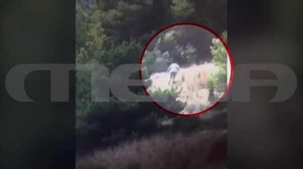 Φωτιά στα Γλυκά Νερά: Συνελήφθη ένας 35χρονος – Βίντεο από τη στιγμή που ξέσπασε η πυρκαγιά