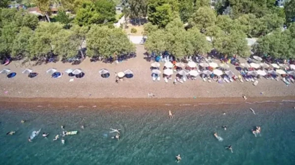 Χαλκιδική: Χρεώσεις που ζαλίζουν στις παραλίες με ελάχιστη κατανάλωση στα 120 ευρώ και ξαπλώστρες με τιμές – φωτιά για «πρώτη θέση» κύμα