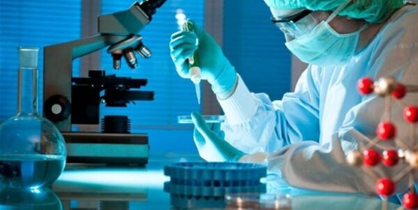 CNN: Καμπανάκι από επιστήμονες για επικίνδυνους μύκητες  που σκοτώνουν – Μπορούν να «μας φάνε από μέσα προς τα έξω»