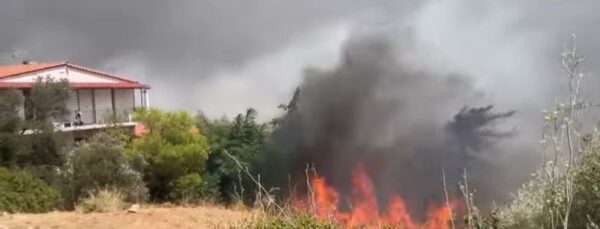Φωτιά στην Εύβοια: Συνελήφθη αλλοδαπός ως υπαίτιος – Επιφυλακή για τυχόν αναζωπυρώσεις