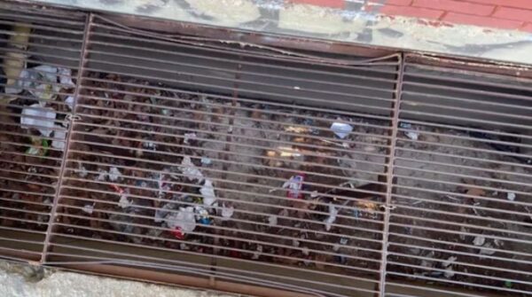 Νέα Ιωνία – Άγριο bullying σε σχολείο: 14χρονοι μαθητές  έκλεισαν 12χρονο σε φρεάτιο – Συλλήψεις καθηγητών και μαθητών – Τι λέει ο πατέρας του (βίντεο)