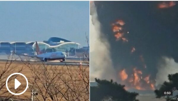 Νότια Κορέα – Συντριβή αεροσκάφους: Όλοι οι επιβάτες θα είχαν επιζήσει αν δεν υπήρχε ο τσιμεντένιος  τοίχος στο τέλος του διαδρόμου, λέει ειδικός