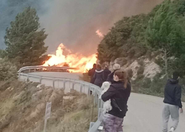 Φωτιά στη Λευκάδα: Καίγεται δάσος στον Άγιο Νικήτα – Μήνυμα του 112 να απομακρυνθούν οι κάτοικοι